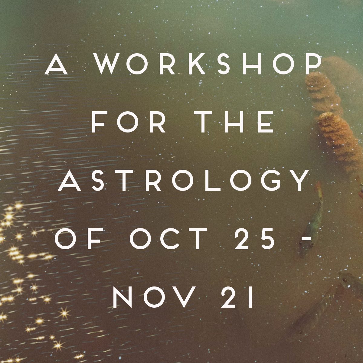 Link to Monthly Astrology Workshop for Oct 25th to Nov 21st