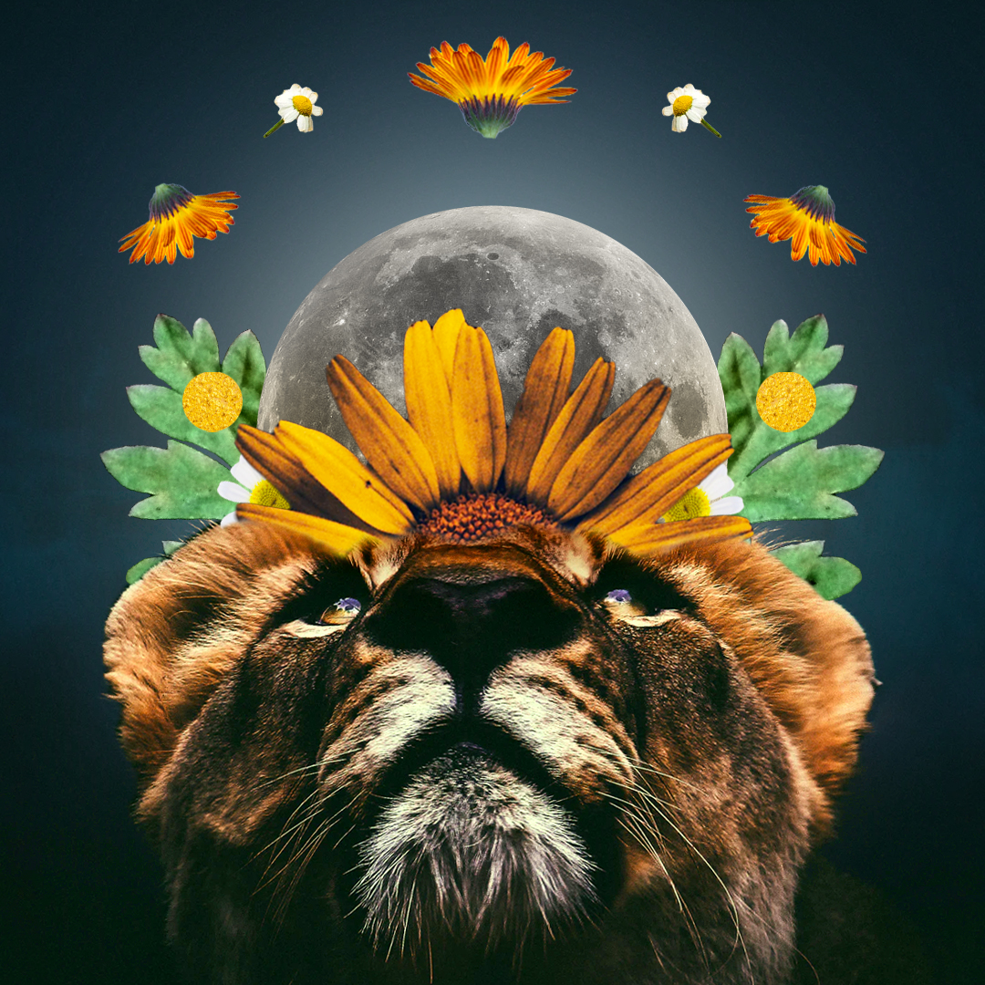 Horoscopes for the Full Moon in Leo February 2020 Chani Nicholas