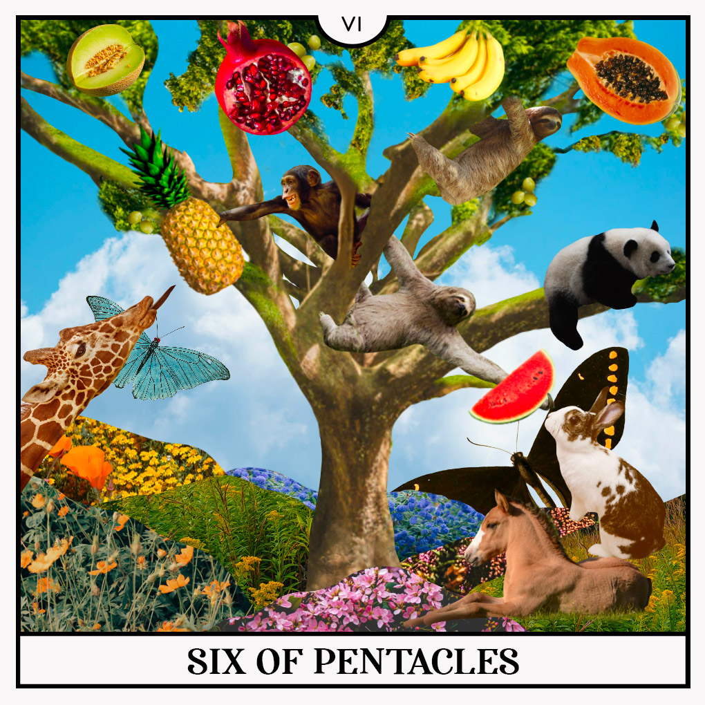 six of pentacles tarot card
