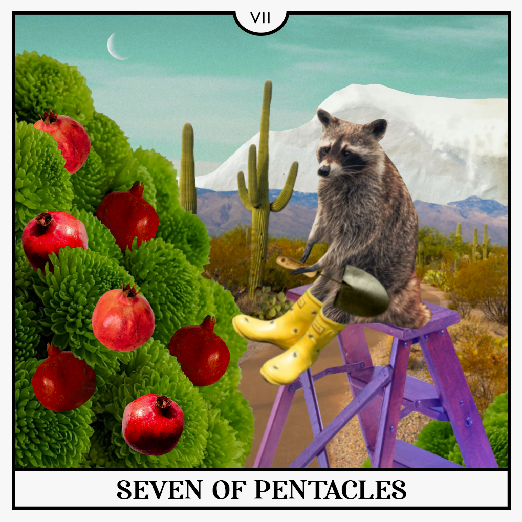 seven of pentacles tarot card