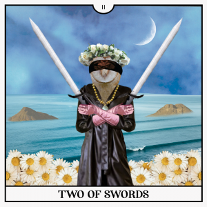 Two of Sword Tarot Card with blindfolded Owl standing in daisies in front of a cloudy night sea