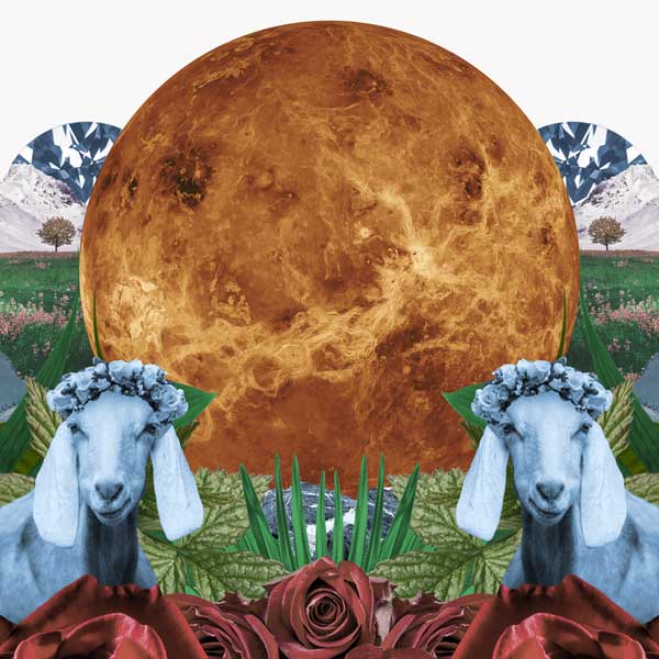 Collage for Venus in Capricorn