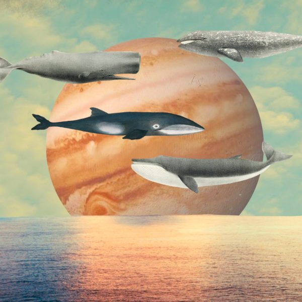 Collage for Jupiter in Pisces