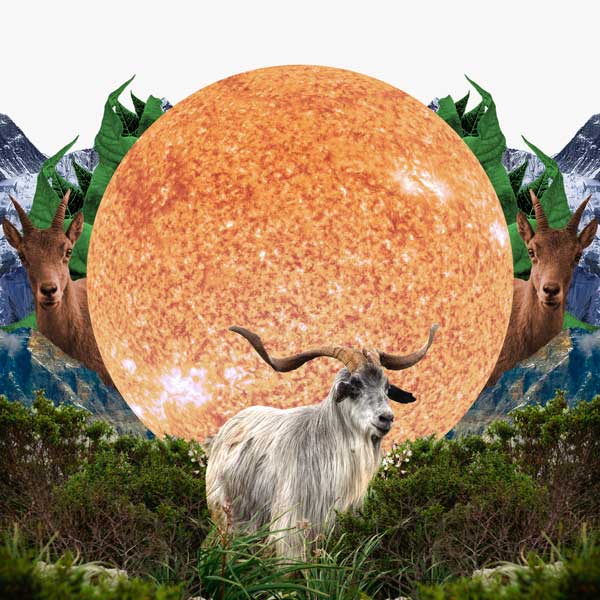 Collage for the Sun in Capricorn