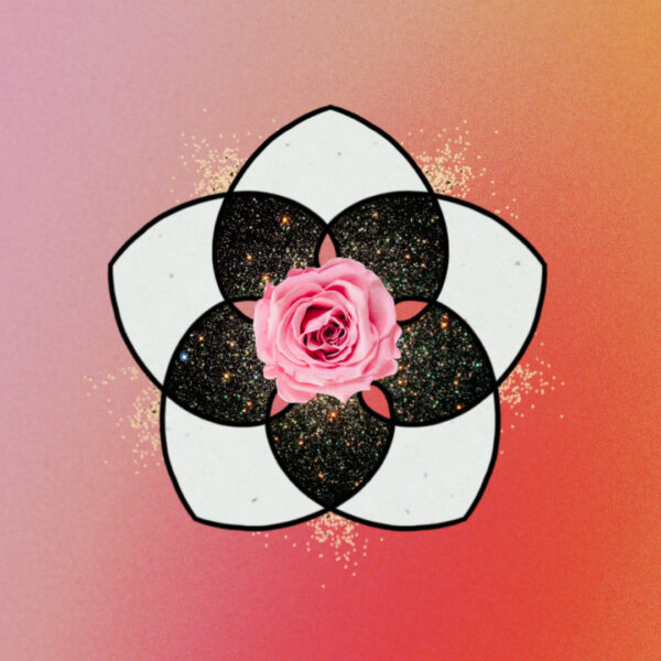 Flower Collage for Venus Retrograde in Capricorn