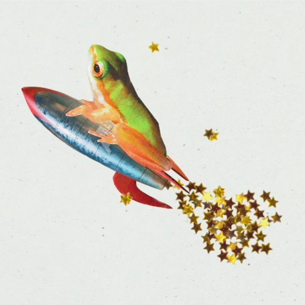 Collage of a frog on a rocket with gold stars