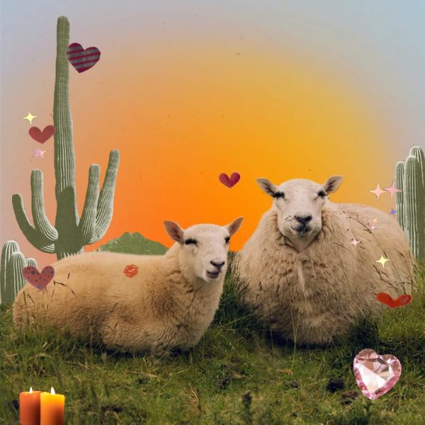 Image of two sheep - art for how to love Aries