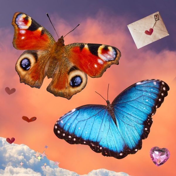 Image of two butterflies - art for how to love Taurus