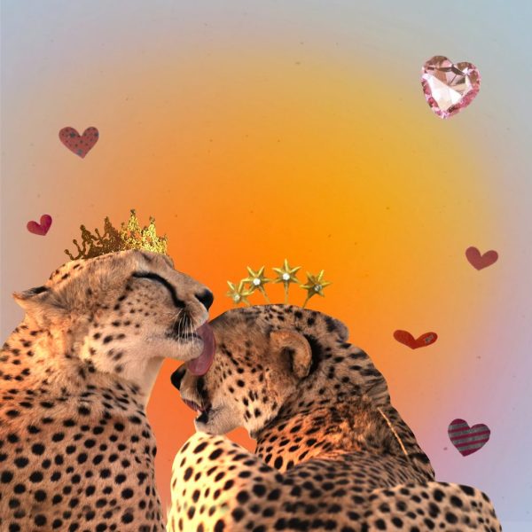 Image of two cheetahs - art for how to love Leo