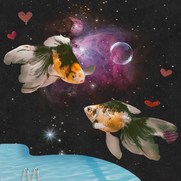 Image of two fish - art for how to love pisces