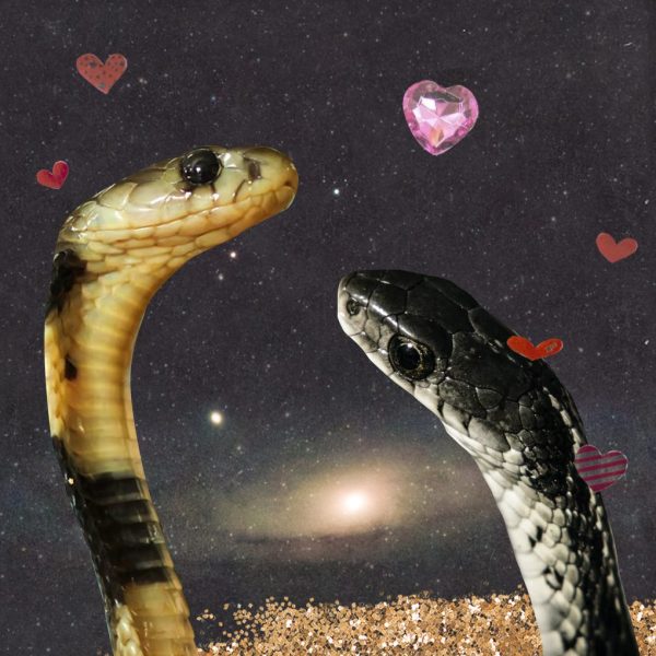 Image of two snakes - art for how to love scorpio