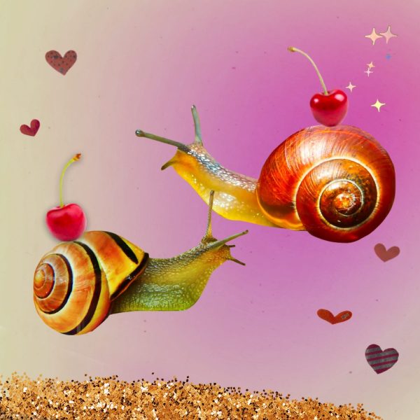 Image of two snails - art for how to love Virgo