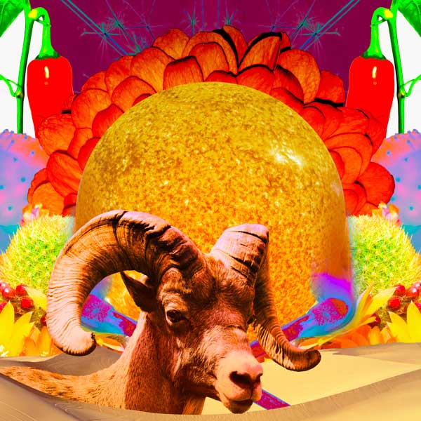 Collage for the Sun in Aries