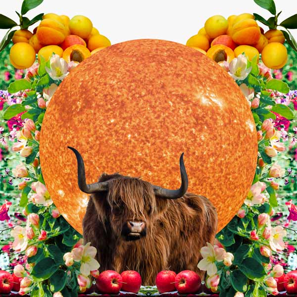 Collage for Sun in Taurus