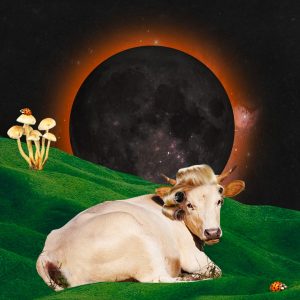 Collage for the solar eclipse in taurus for the 2022 eclipse season