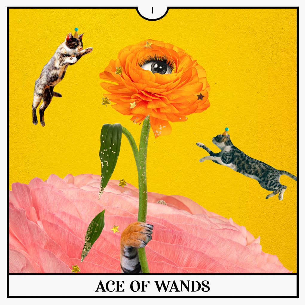 Ace of Wands Tarot Card for Your Guide to the Week of May 2nd