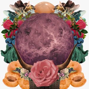 Collage for Venus in Taurus