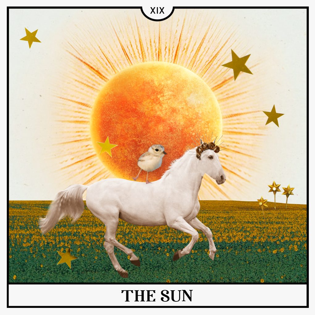 The Sun Tarot Card for Your Guide to
