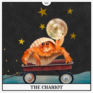 The Chariot Tarot Card for Your Guide to the Week of June 20th