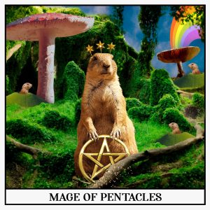 Mage of Pentacles Tarot Card