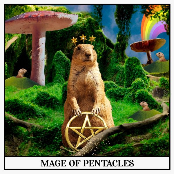 Mage of Pentacles Tarot Card