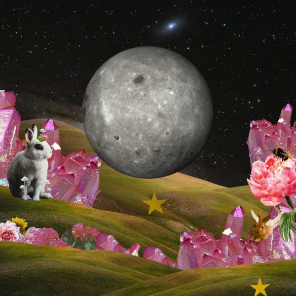 Collage for the Full Moon in Capricorn