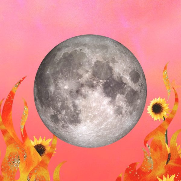 Collage for the Full Moon in Sagittarius