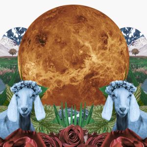 collage for Venus in Capricorn horoscopes