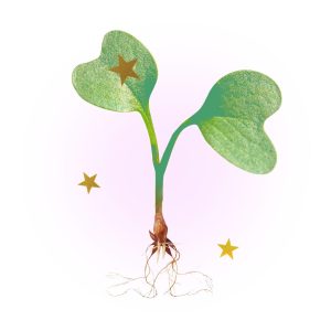 A green sprout with stars