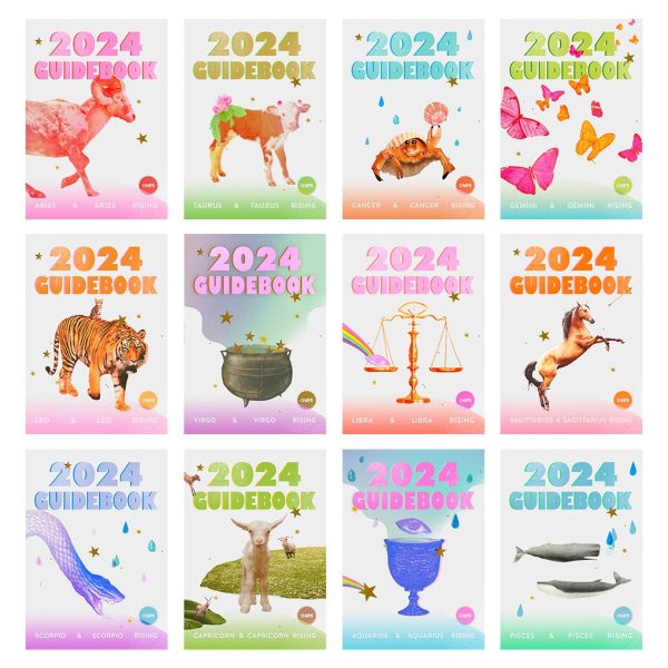 All of the covers for the 2024 Guidebooks with cut outs, stars, and the CHANI logo 