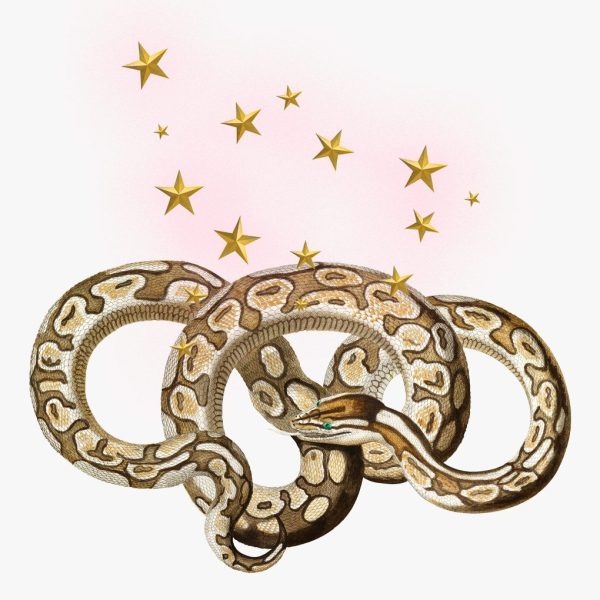 Ophiuchus serpent symbol and 13 stars