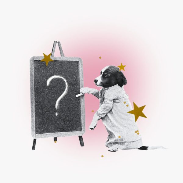 Collage of a dog in a button down shirt writing a question mark on a chalkboard, stars surround.
