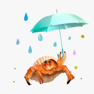 A hermit crab holding an umbrella surrounded by water drops, gold stars, and glitter.
