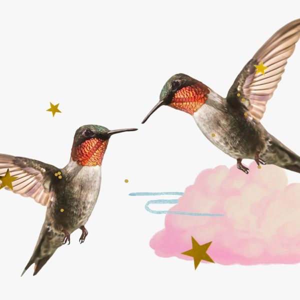 What it means to have Gemini placements – Twin birds surrounded by glitter and gold stars.