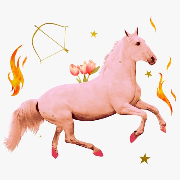 What it means to have Sagittarius placements – A horse, bow and arrow, and flowers surrounded by flames, gold stars, and glitter.