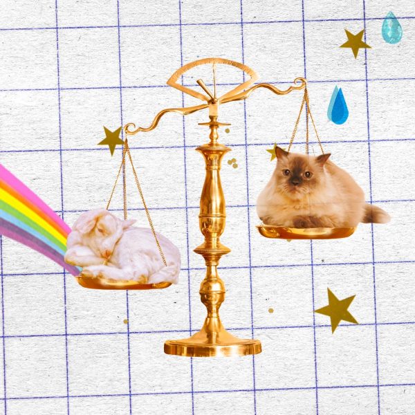 No, astrologers haven’t gotten it wrong — the media has. A collage for the zodiac including a scale, goat, kitten, gold stars, rainbow, and water droplets.