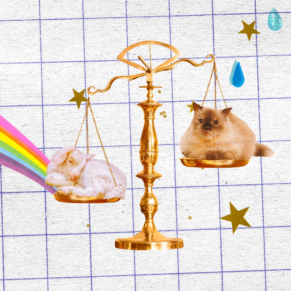 A collage for the zodiac including a scale, goat, kitten, gold stars, rainbow, and water droplets.
