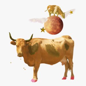 Mercury in Taurus horoscopes. Collage of cows, stars, and Mercury with wings.