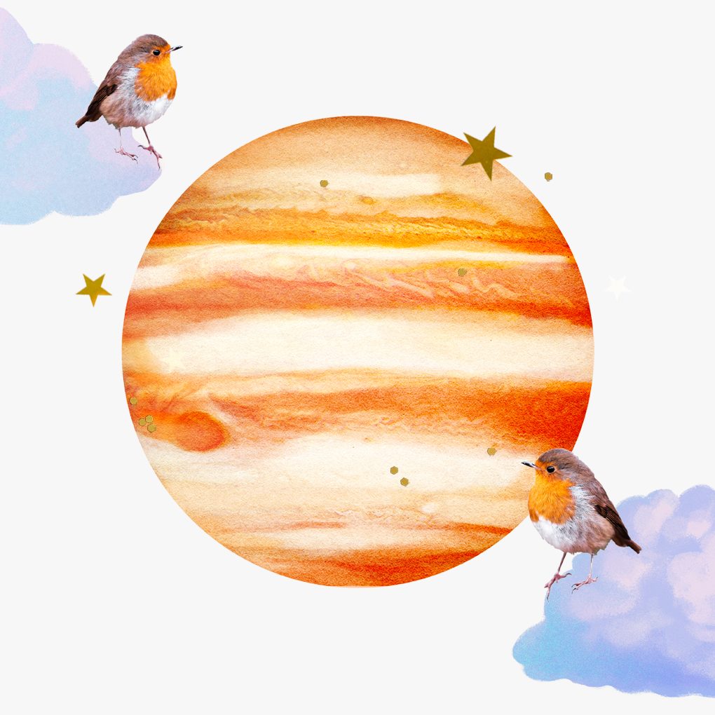Gemini - Jupiter