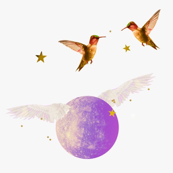 Mercury in Gemini horoscopes, 2024 – Collage of two hummingbirds, gold stars, and the planet Mercury for Mercury in Gemini.