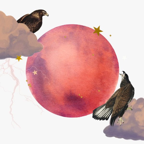 Mars in Gemini horoscopes, 2024 — Collage of two hawks, clouds, lightning, stars, and the planet Mars for Mars in Gemini.