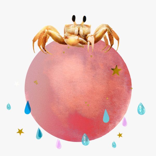 Mars in Cancer horoscopes, 2024 — Collage of stars, raindrops, and a crab atop the planet Mars for Mars in Cancer horoscopes.