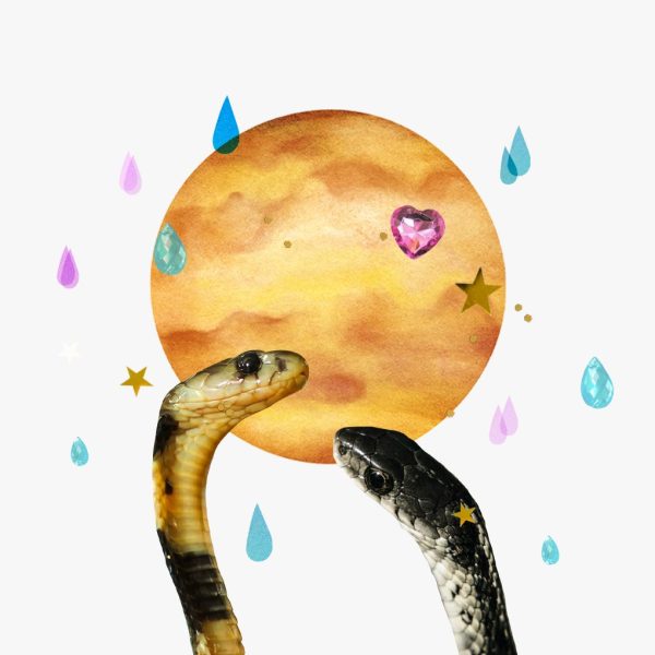 Venus in Scorpio horoscopes, 2024 – Collage of two snakes, raindrops, stars, a jewel heart, and the planet Venus.