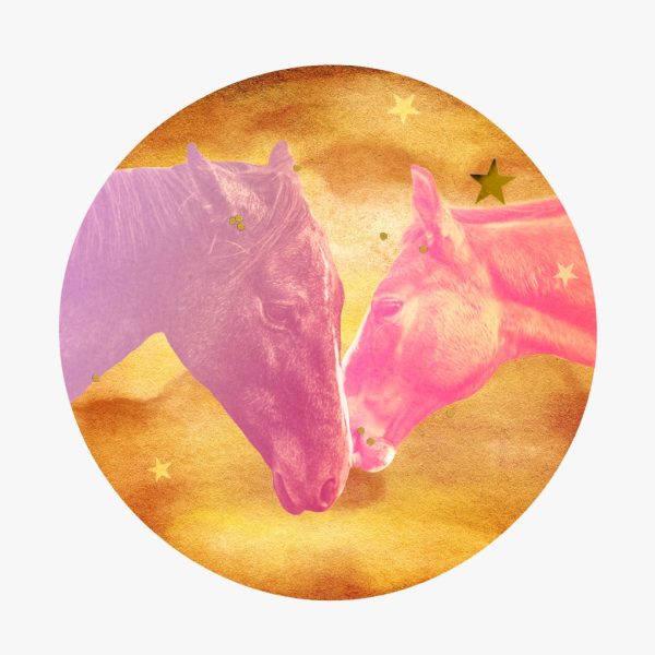 Venus in Sagittarius horoscopes, 2024 – Collage of two horses nuzzling with gold stars in front of the planet Venus.