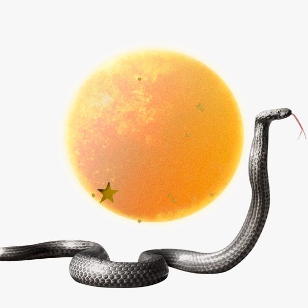 Sun in Scorpio horoscopes — Collage of a serpent in front of the Sun with gold stars for Sun in Scorpio horoscopes.