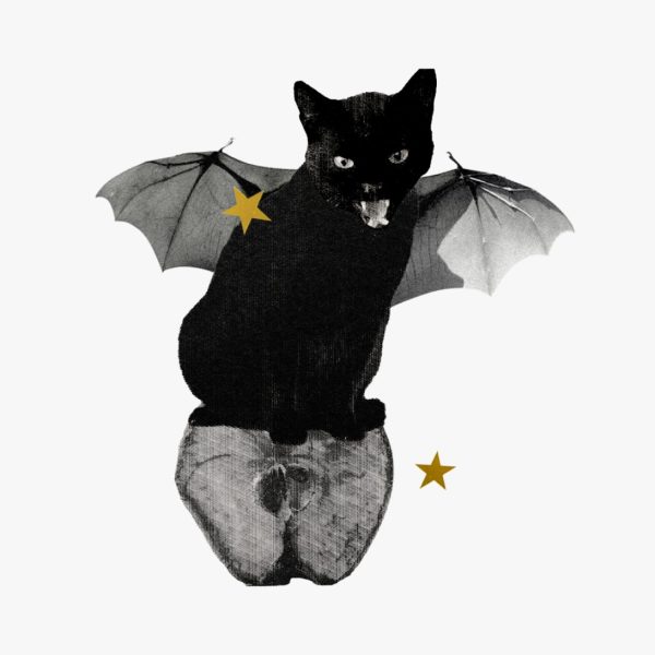 Astro 101: All about Lilith — Black and white collage of black cat on cut apple with bat wings and gold stars.