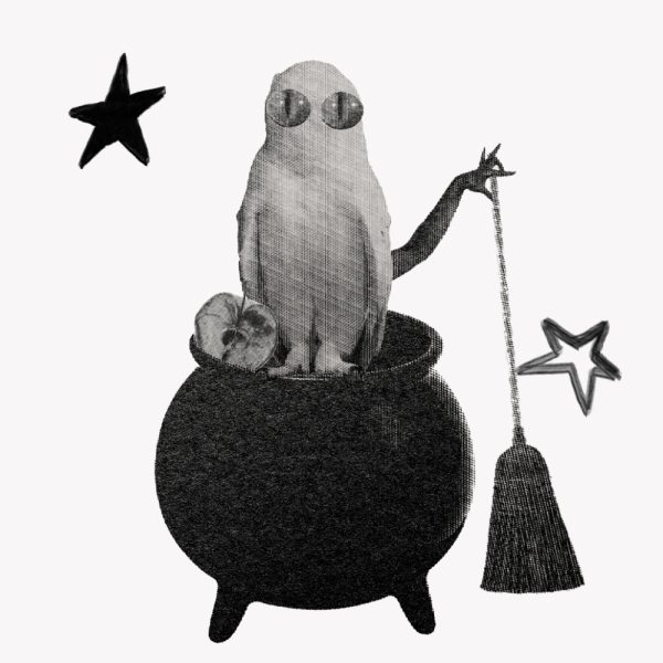 Black Moon Lilith — collage of an owl with glasses on a cauldron