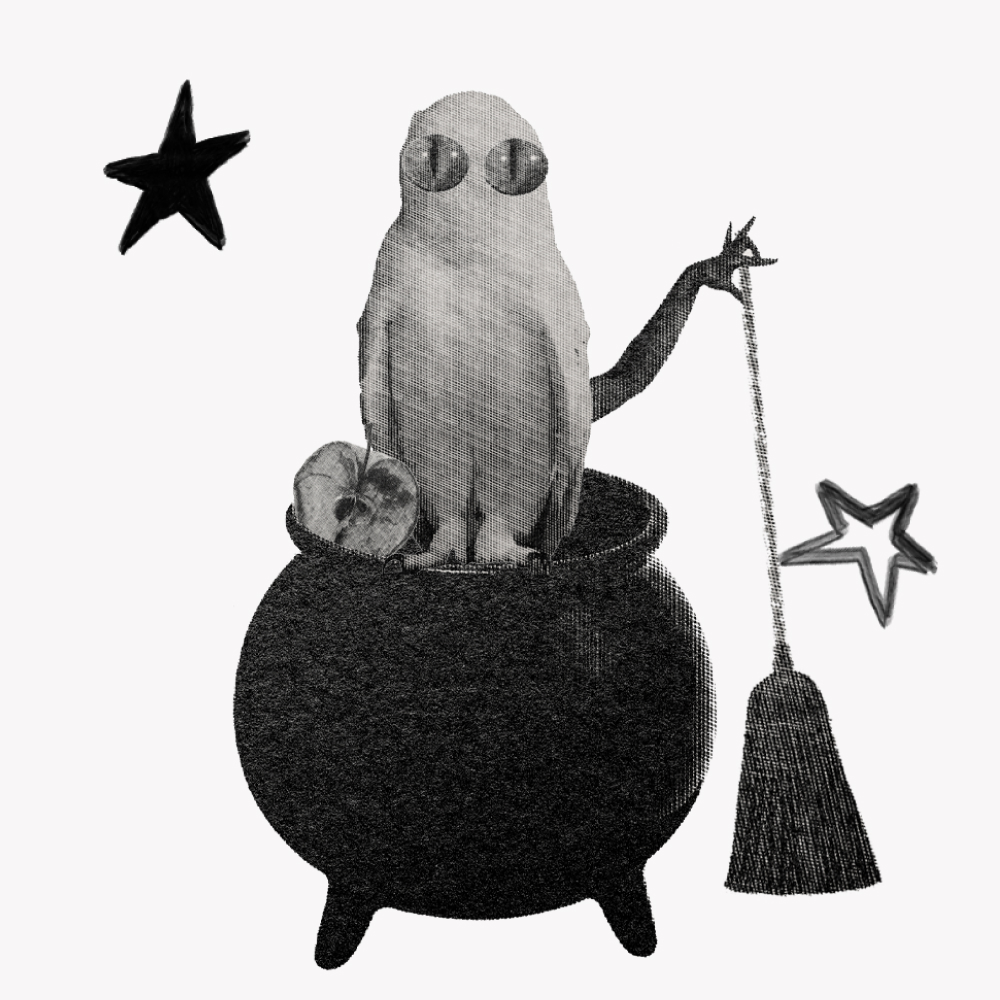 How to work with Black Moon Lilith — collage of an owl with glasses on a cauldron, a apple, a arm holding a broom, and stars.