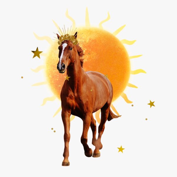 Sun in Sagittarius horoscopes — Collage of a horse wearing a radiant gold crown trotting in front of the Sun with gold stars.