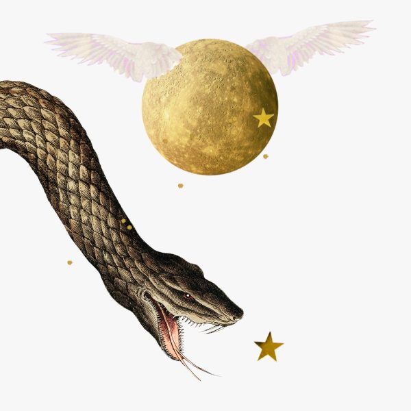 Mercury in Scorpio horoscopes, 2024 – Collage of a snake, gold stars, and a winged planet Mercury for Mercury in Scorpio.